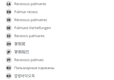 Translations