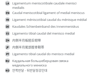 Translations