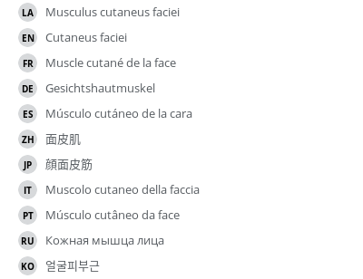 Translations