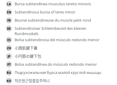 Translations