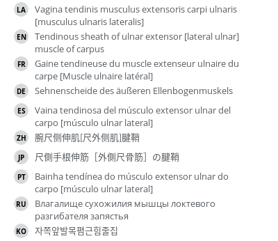 Translations
