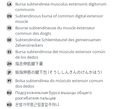 Translations