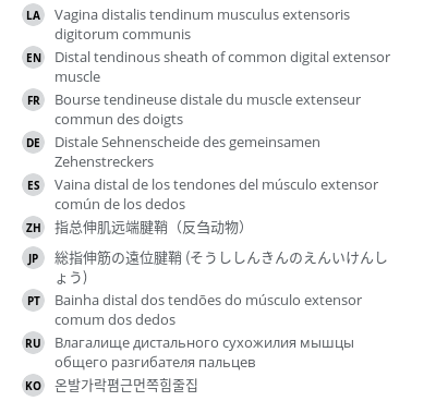 Translations