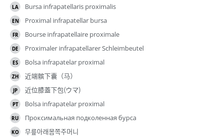 Translations