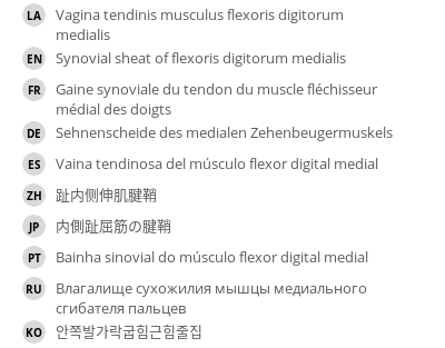 Translations