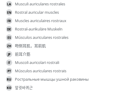Translations