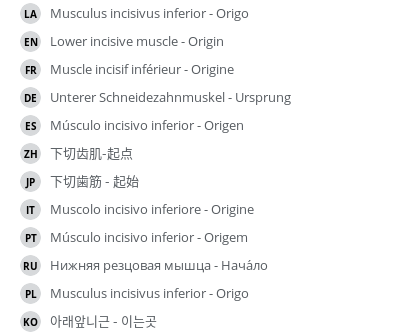 Translations