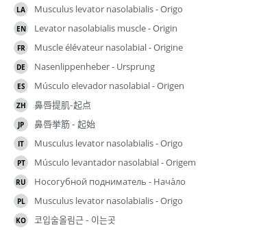 Translations