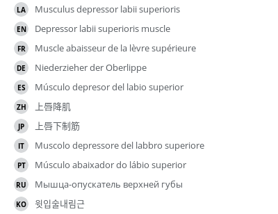 Translations