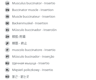 Translations