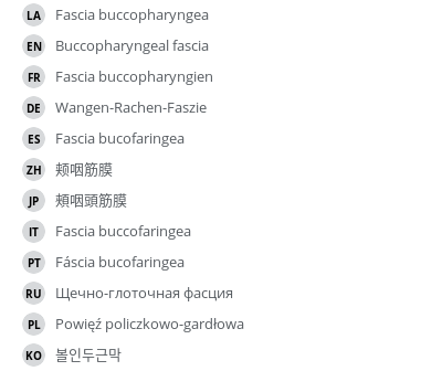 Translations