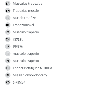 Translations
