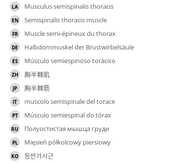 Translations
