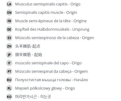 Translations