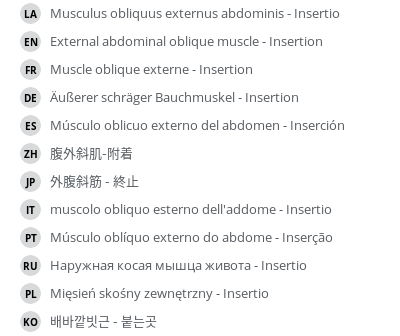 Translations