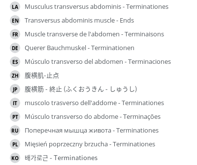 Translations