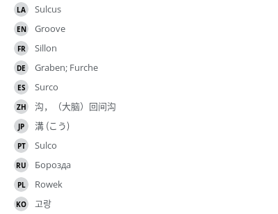 Translations