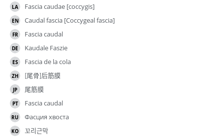 Translations