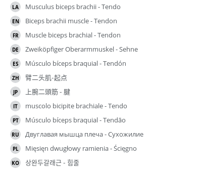 Translations