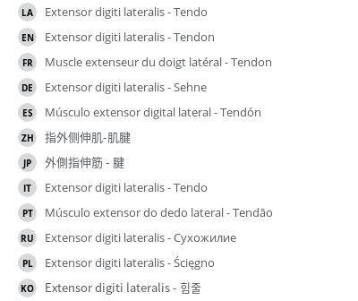 Translations