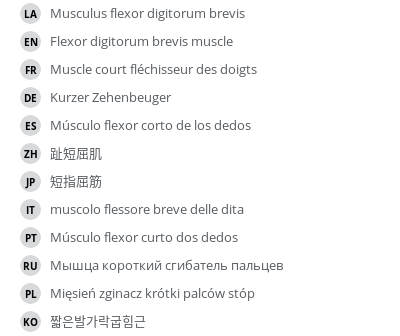 Translations
