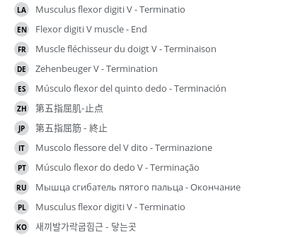Translations