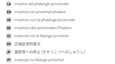 Translations