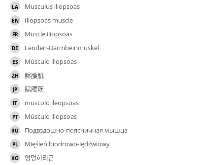 Translations