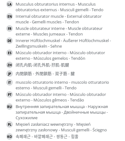 Translations