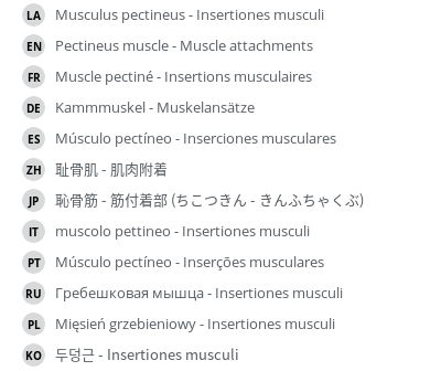 Translations