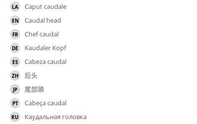 Translations