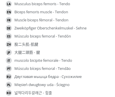 Translations