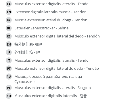 Translations