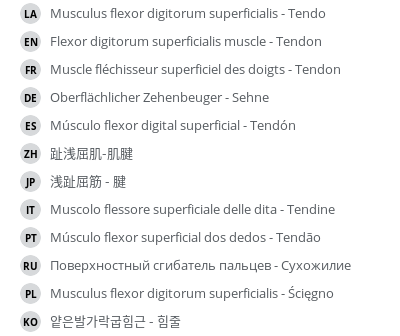 Translations