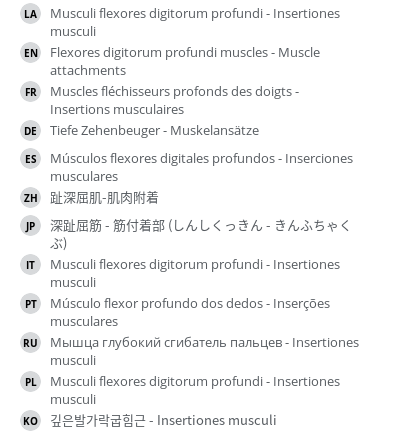 Translations