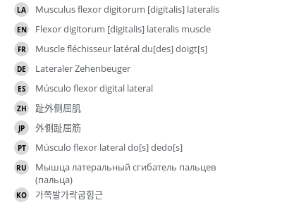 Translations