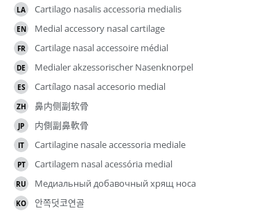 Translations
