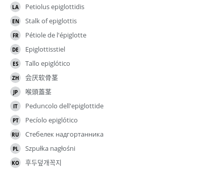 Translations