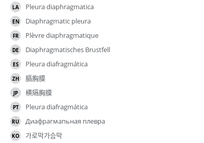 Translations