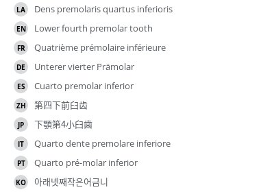 Translations