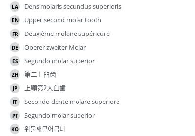Translations
