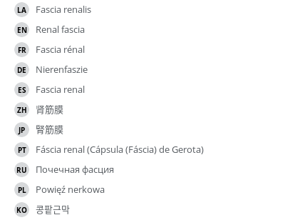 Translations