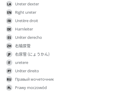 Translations