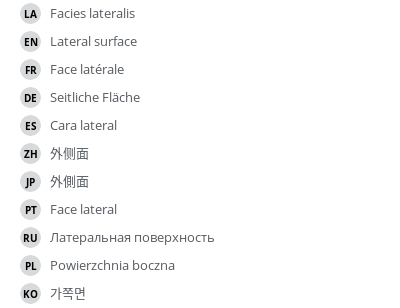 Translations
