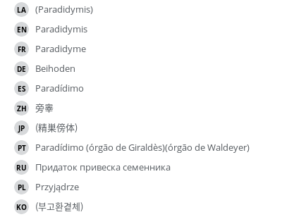 Translations