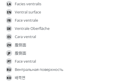 Translations