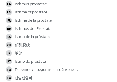 Translations