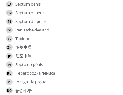 Translations
