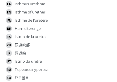 Translations