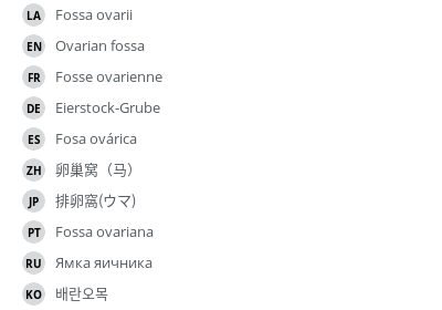 Translations
